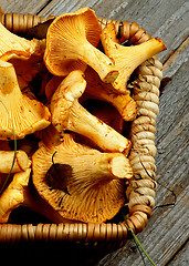 Image showing Raw Chanterelles Mushrooms