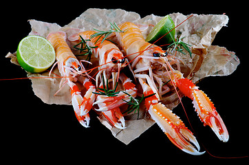 Image showing Delicious Raw Langoustines