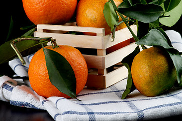 Image showing Ripe Tangerines with Leafs