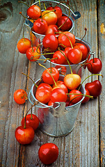 Image showing Sweet Maraschino Cherries
