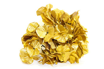 Image showing Gold leafs