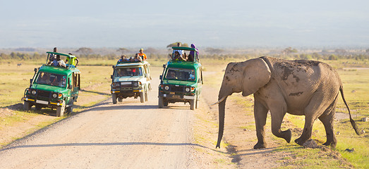 Image showing Elephantt crossing dirt roadi in Amboseli, Kenya.