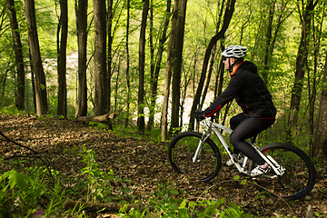 Image showing Cyclist Riding the Bike on a Trail in Summer Forest