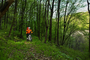 Image showing Biker on the forest road