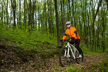 Image showing Cyclist Riding the Bike on a Trail in Summer Forest