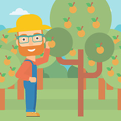 Image showing Farmer collecting oranges.