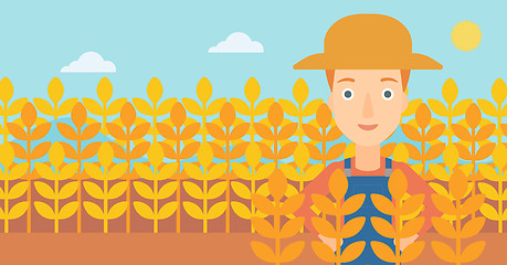 Image showing Man in wheat field.
