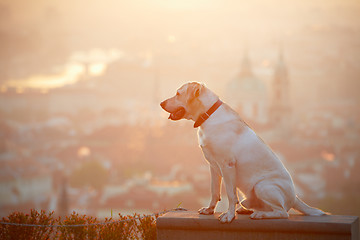 Image showing Sunrise in the city