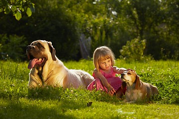 Image showing Girl with dogs