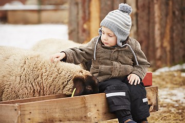 Image showing Boy on the farm