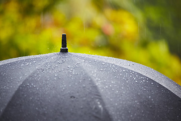 Image showing Heavy rain