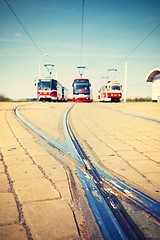 Image showing Trams