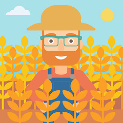 Image showing Man in wheat field.