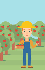 Image showing Farmer collecting apples.