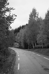 Image showing Autumn road in B/W