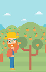 Image showing Farmer collecting oranges.