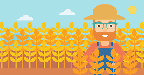 Image showing Man in wheat field.