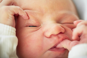 Image showing Newborn