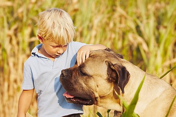 Image showing Little boy with large dog