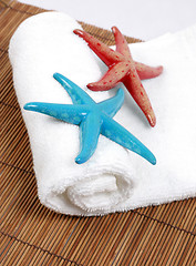 Image showing Starfish and towel.
