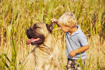 Image showing Little boy with large dog