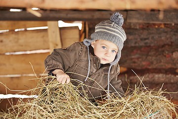 Image showing Living in the farm