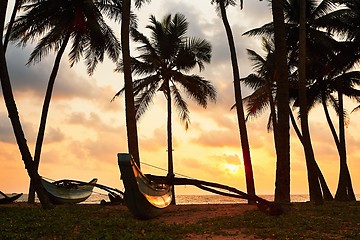 Image showing Tropical island at the sunset