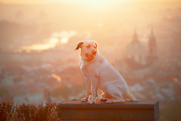 Image showing Sunrise in the city