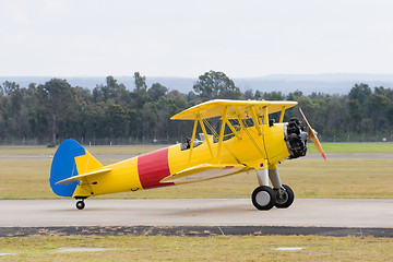 Image showing Gypsy Moth