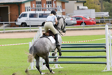 Image showing Horse Jumping