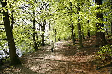 Image showing Spring walk