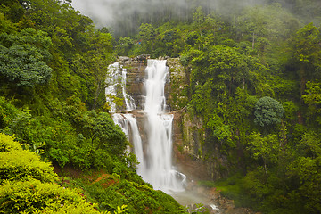 Image showing Waterfall