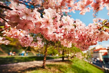 Image showing Spring day in the city