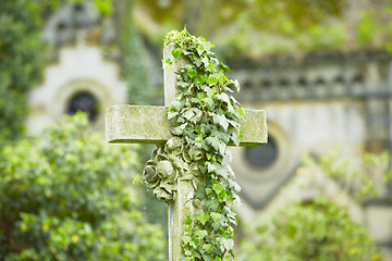 Image showing Cemetery