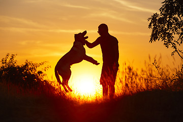 Image showing Man with dog