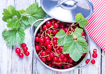 Image showing red currant