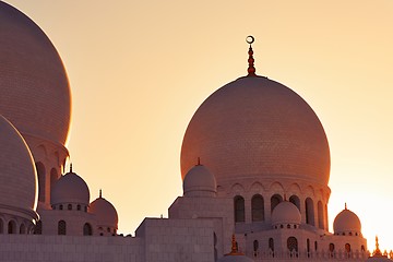 Image showing Mosque in Abu Dhabi
