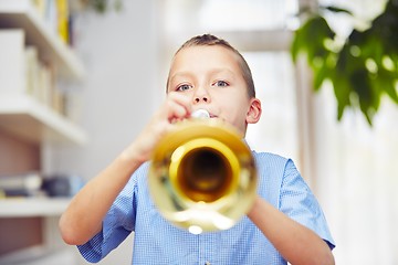 Image showing Little trumpeter