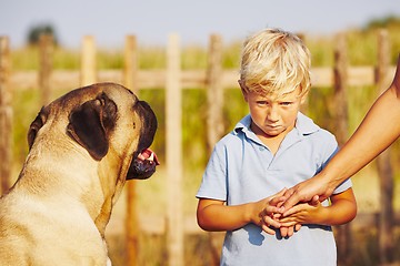 Image showing Little boy and large dog