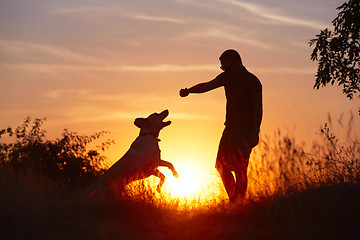 Image showing Man with dog