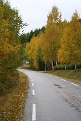 Image showing Autumn mood