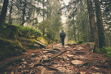 Image showing Traveler in the mountains