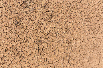 Image showing Dry cracked earth background