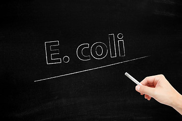 Image showing E. coli