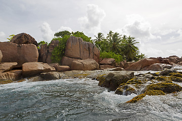 Image showing St. Pierre island, Seychelles