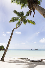 Image showing Paradise beach, Praslin island, Seychelles