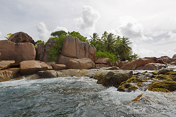 Image showing Tropical island St. Pierre, Seychelles