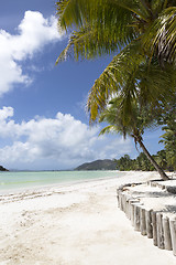 Image showing Paradise beach at Praslin island, Seychelles