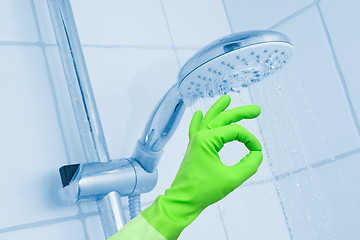 Image showing Cleaning shower