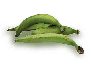 Image showing Plantain